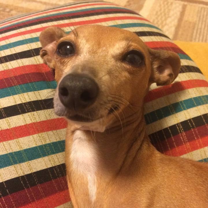 F38057d0 e17b 4a55 92aa 3bcf3a0c6db5