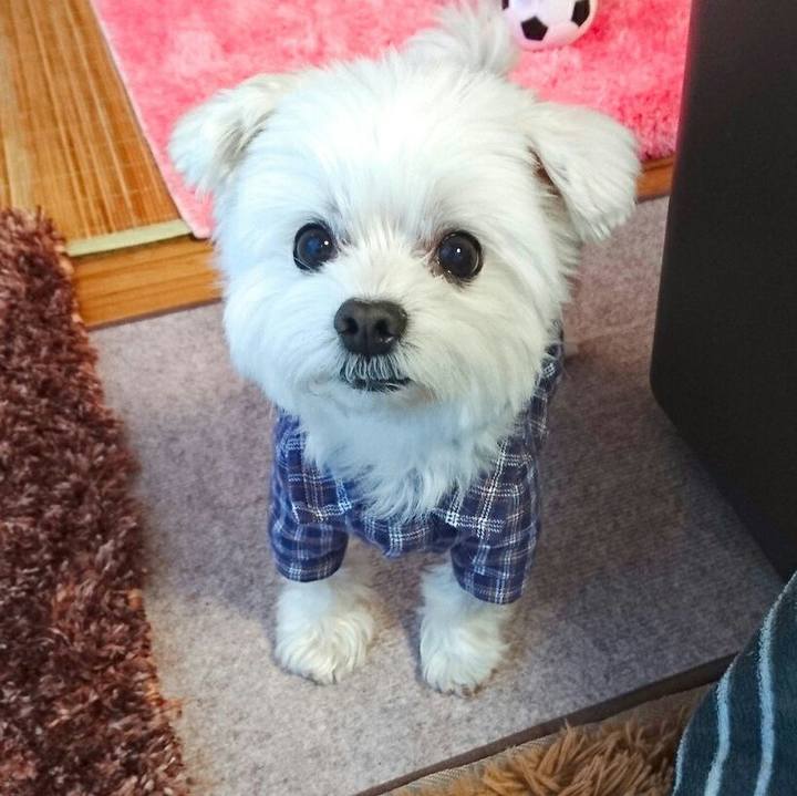 F3805bc2 42b9 4d8b 82ca 4c7dae737e2a