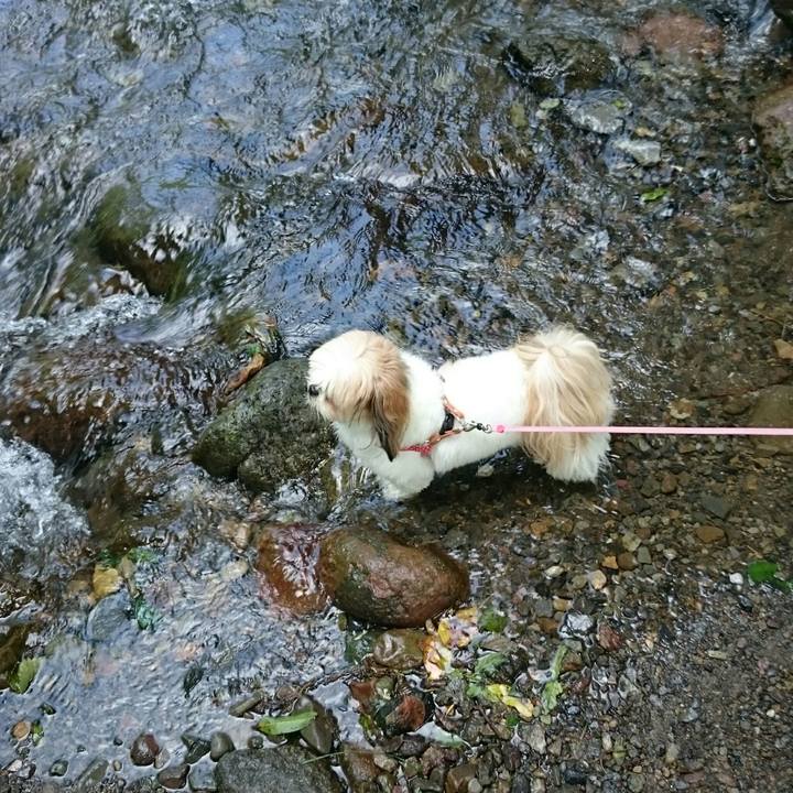 F38075fc 2a4e 4f0c 8837 6983c37bda9e