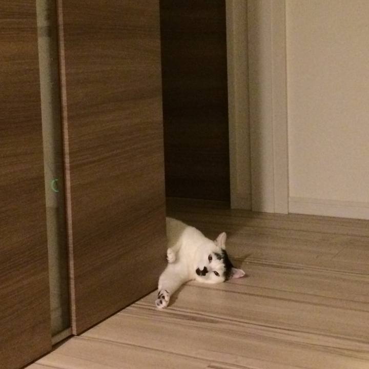 F380d6e3 7c91 4796 8c6a 8b513f88a728