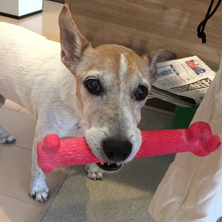 F38111d7 08af 4e41 bbe4 93e8958e6f45