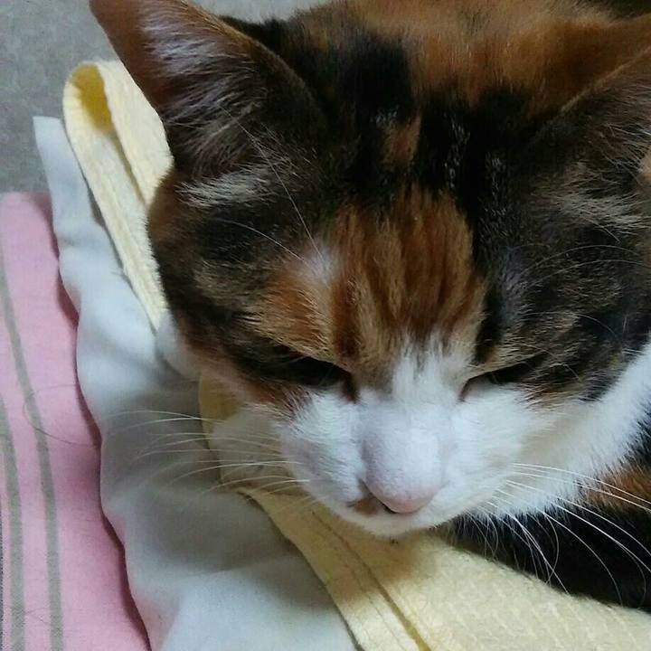 F3813ced db52 4c58 8a45 9b6ac745ed5c