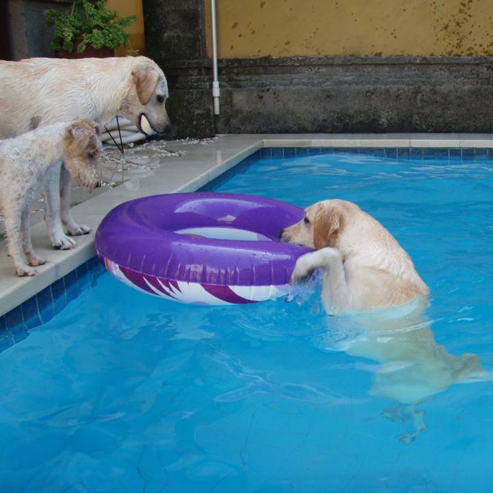 F3823a6b 76c1 40ef a9c2 8d2421af7a30