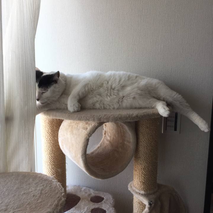 F3823f31 13a9 46a9 94db 4248834cd577