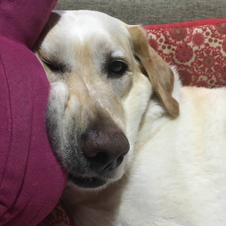 F3824bf8 1705 4b6d 8b67 839961425230