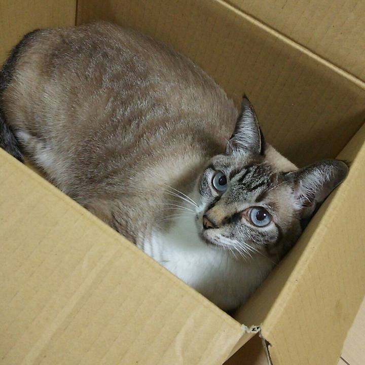 F38265da fef3 4324 8fa2 c49936f28c3c