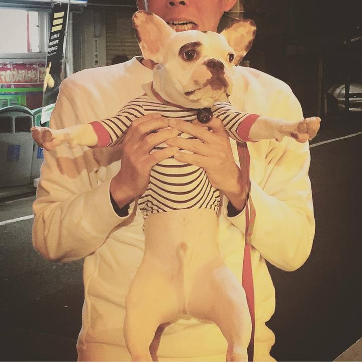 F382b773 67de 4ffb 8f51 abda4396cdac