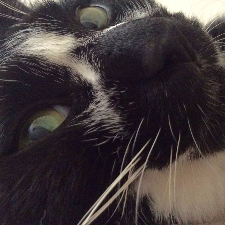 F3837b3b 8539 4a88 becd 44e24e87511a