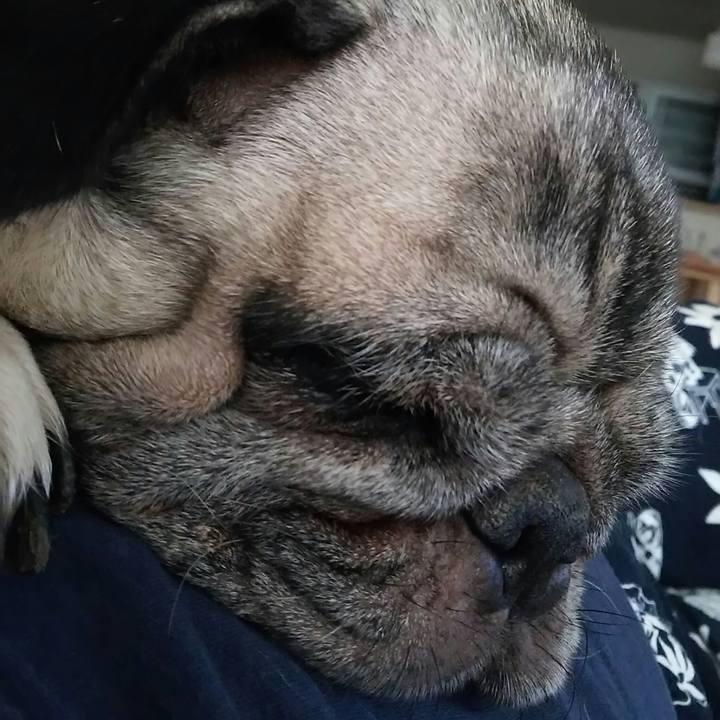 F383d0ab 4565 41de 8e71 b0b93d7bec0e