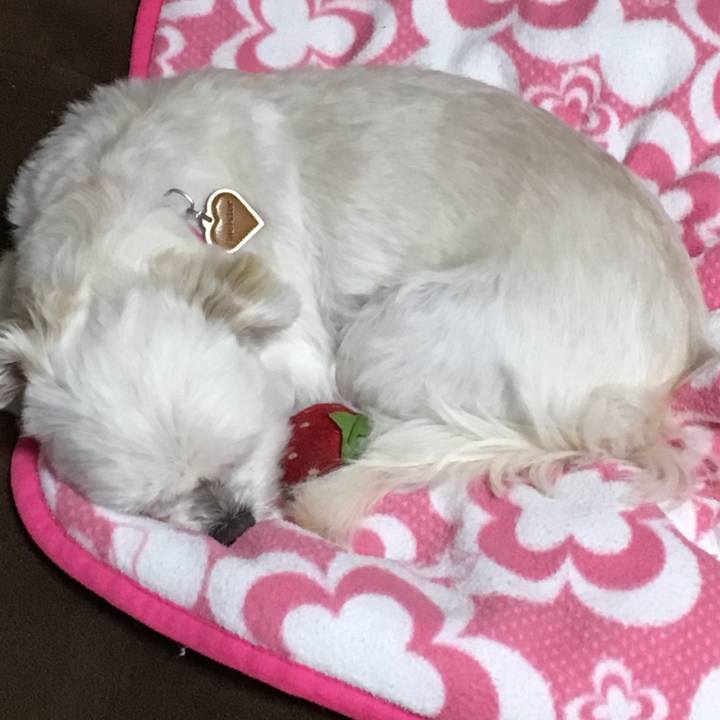 F3844c98 d562 4249 b67e 5d21d29b2b4e