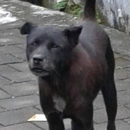 F384d8d0 65cb 4455 ae5b 4e40e8d4f0d9