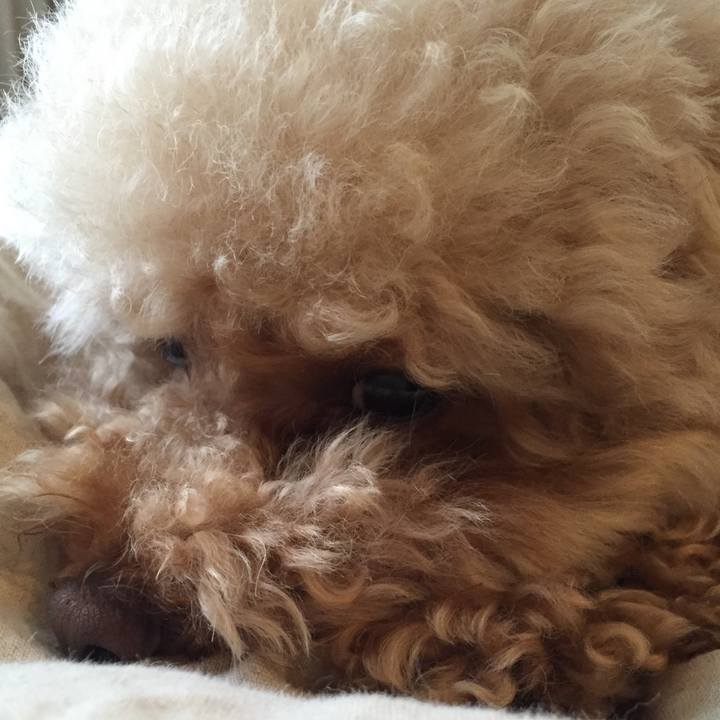 F385cb72 2bf5 46c1 bb36 6c644d46e54f