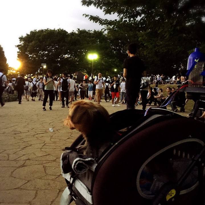 F385e60a 0d48 4a21 9450 e06d96d13608