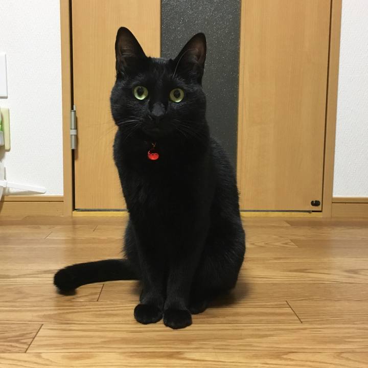 F3864b70 e369 4561 be1c 9309e5e50d84