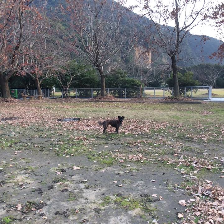 F3869565 9df9 449c a868 3c4e990e51f2