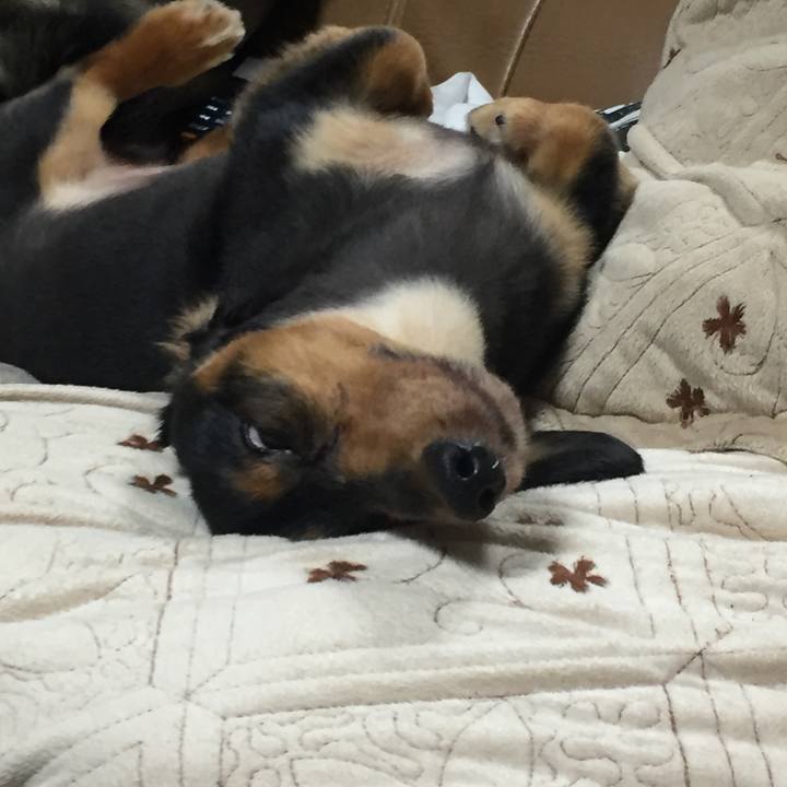 F386dc0d 85f3 459a 8401 105dc7719aae