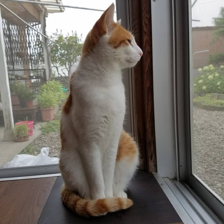 F38732c4 133f 4045 9bd6 56612087b6c3