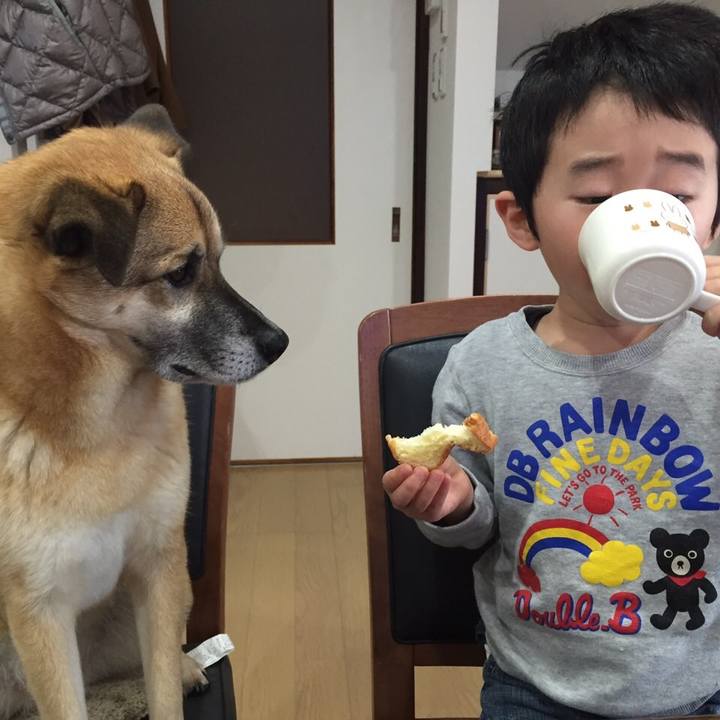 F3876140 fd39 49eb 9408 20ce190a7d43