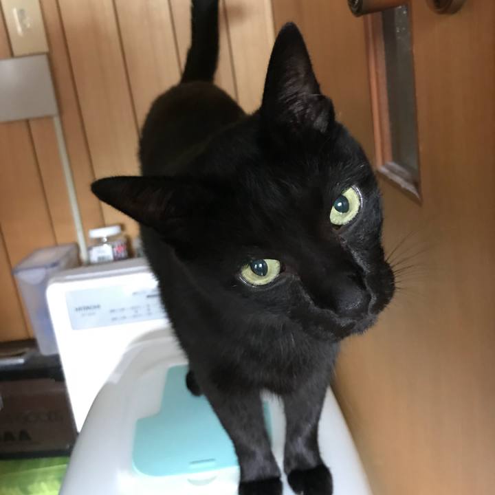 F387be20 7ee0 4de3 95ef 048decaf9447