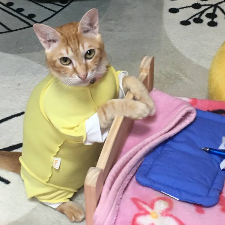 F387f6c4 3fea 4aab ba6a a2a1f095c469