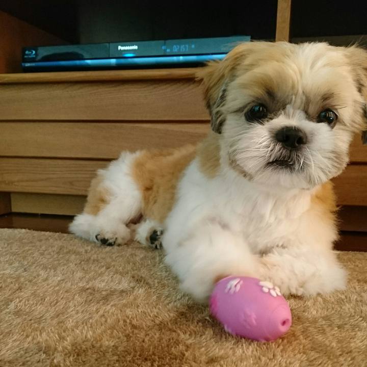 F388032c 5c48 4607 bb8e be339a4a5f31