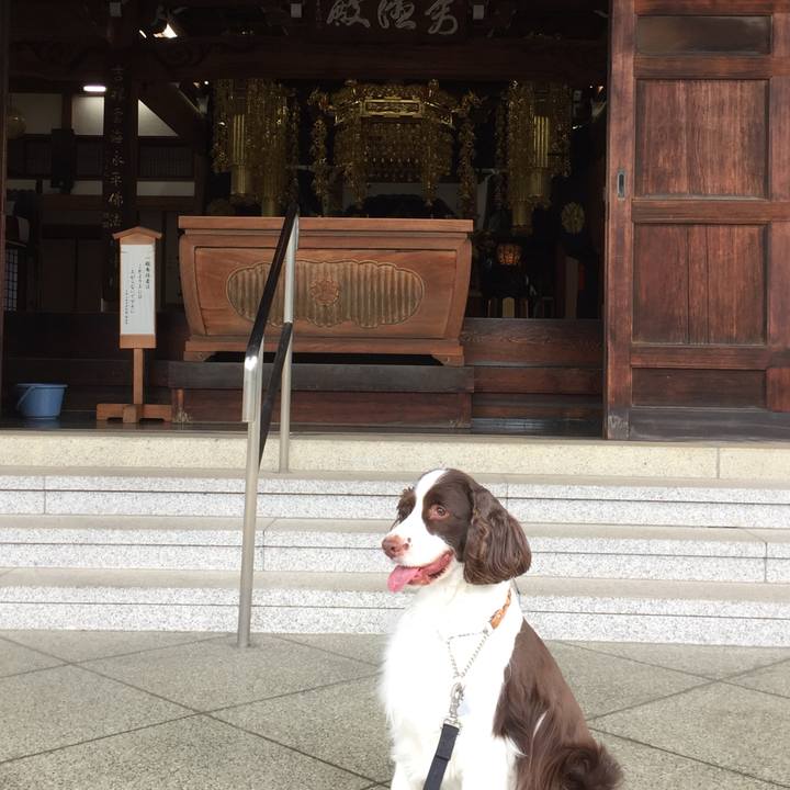 F38813b1 4081 48c2 815b 3eb35964da20