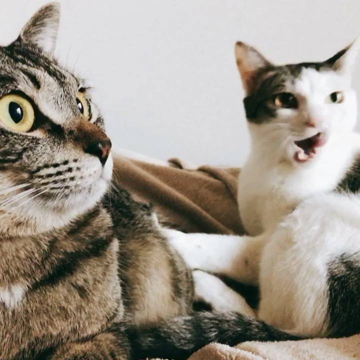 F3887d3d 1087 4171 bc22 2bc49a627339