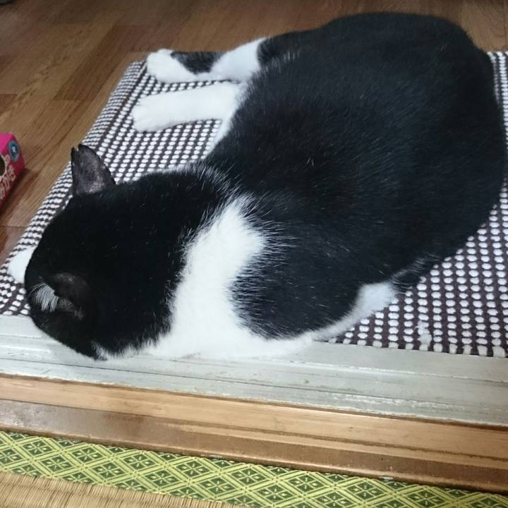 F388cbda 2289 431b b113 f321a10b3b97