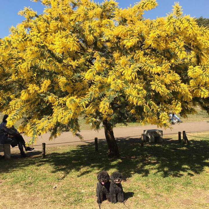 F38a26e1 4580 4e7b b7eb bda51e5a286d