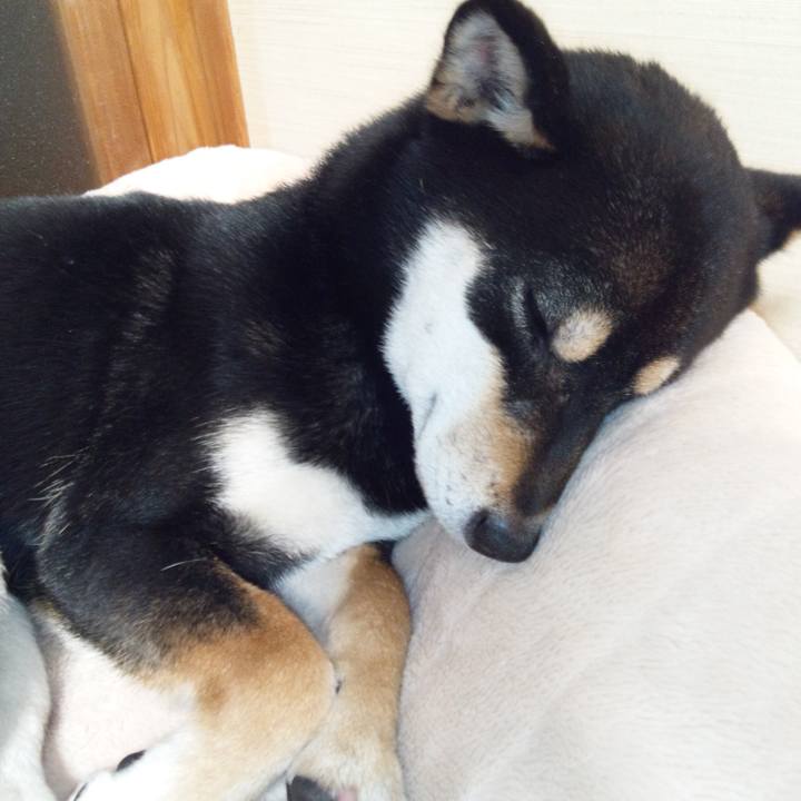 F38a9ece e2ef 4008 8652 1eb9eee5f91e