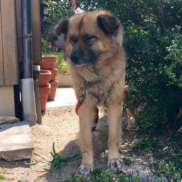 F38abe11 7a5c 49e5 bdd6 62354d3f9ad5