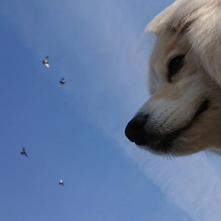 F38ac25f b94f 4c86 be93 2cd2a2502b09