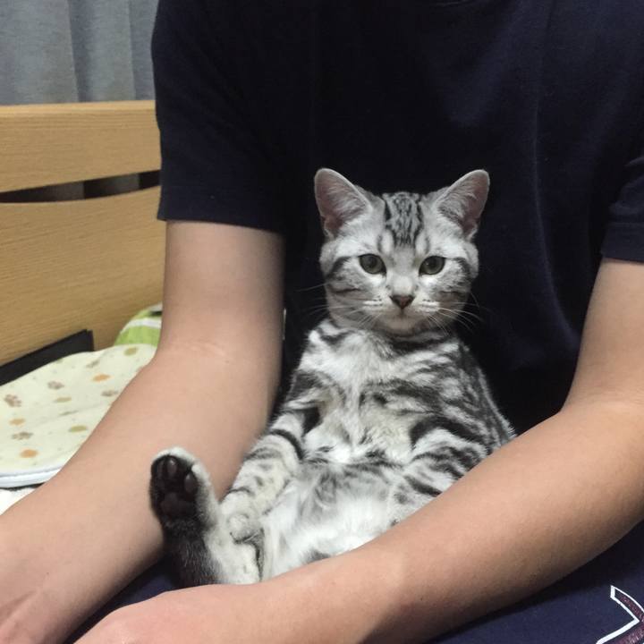 F38b060c 75a1 4179 b395 31a85644fc19