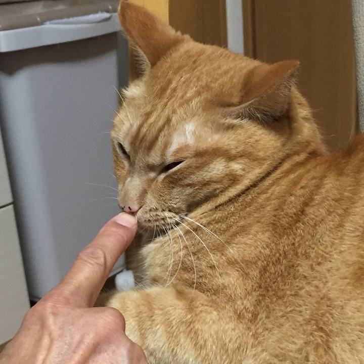 F38b49d9 2316 4997 a560 35a3152a179e