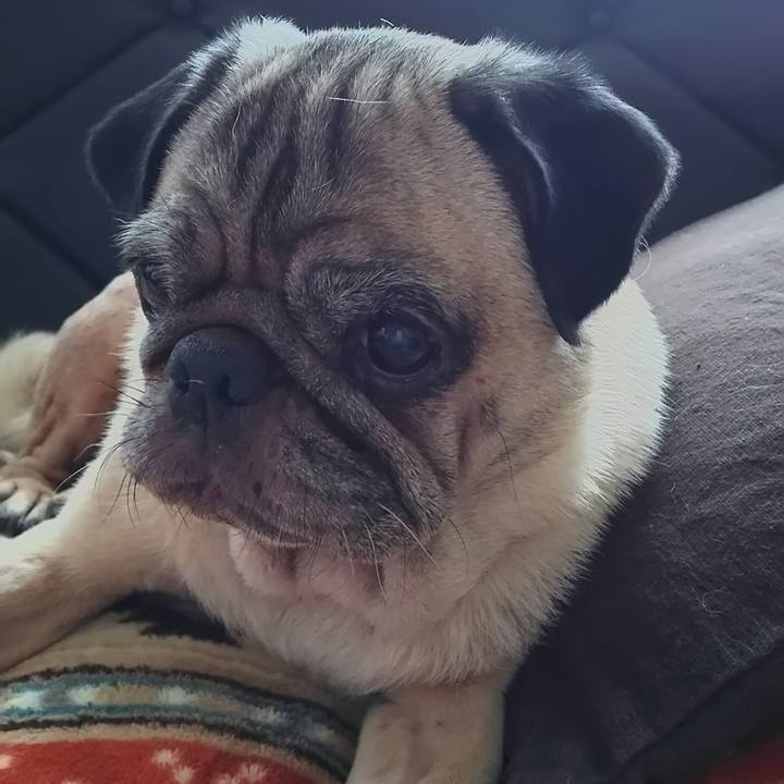 F38c4b12 b1be 476d b241 b805ab6aa9cd