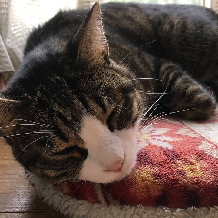 F38ca640 a7b3 48be 9388 bab834771b9c