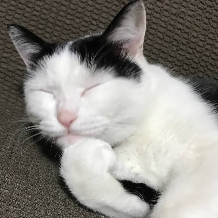 F38db073 182f 471c 8abe 7b8c945bc05a