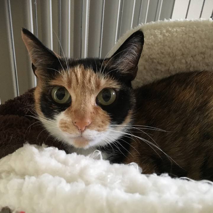 F38eb7a2 fc26 474c 9846 dea89581714e