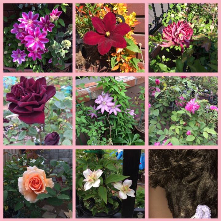 F38eecdb 6445 48b4 8b4e 5f17bcf272ba