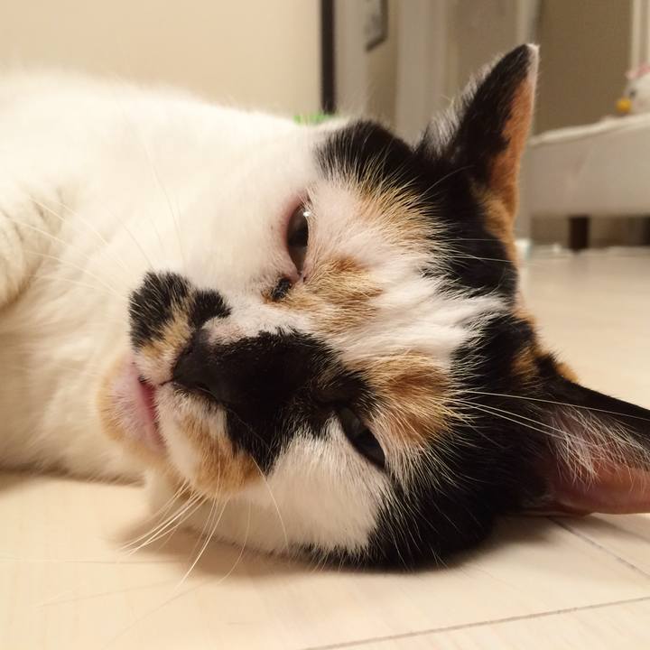 F38f1aad 6ac6 45f2 9280 f82005a2ef5e