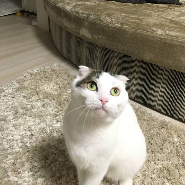 F38f9417 c602 41eb 9e12 cb83a090e795