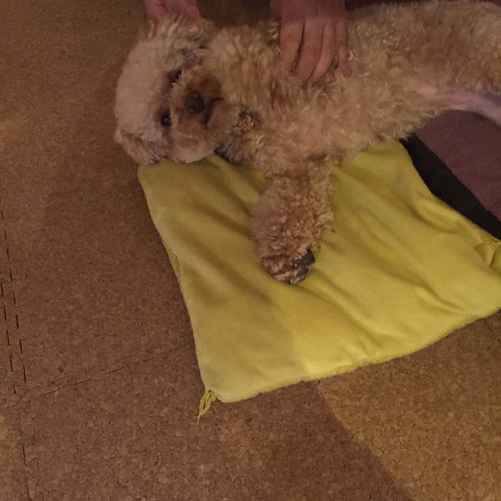 F390c497 337c 41c4 9ee6 46469e23a92e