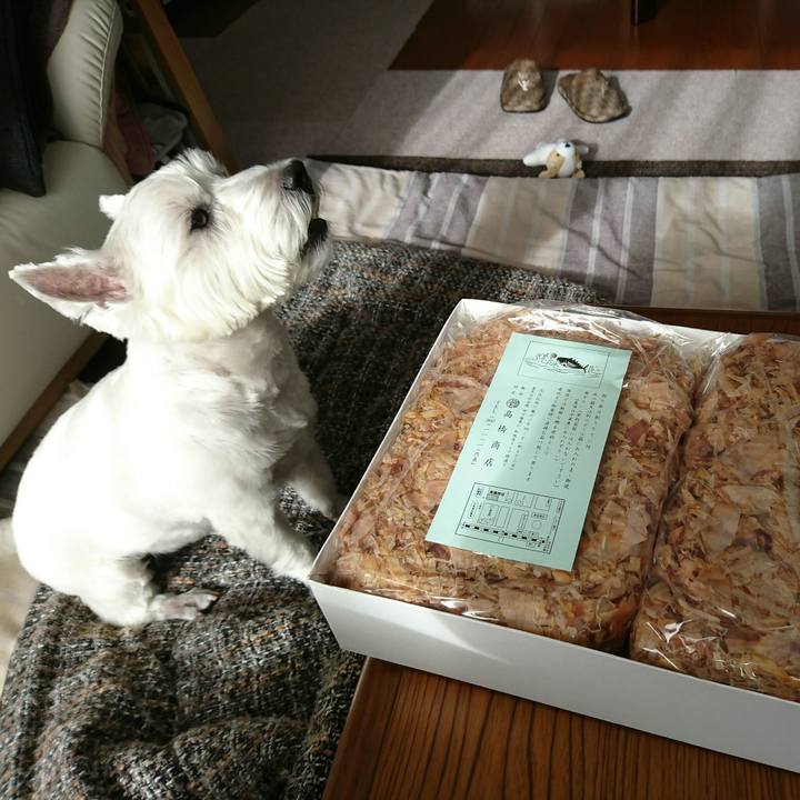 F390c85e 7de5 44e0 a3b3 6a7595658606