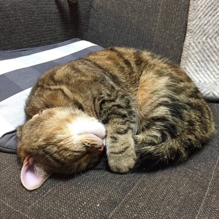 F390cc19 aecd 45ba 9603 258e15d4f8a8