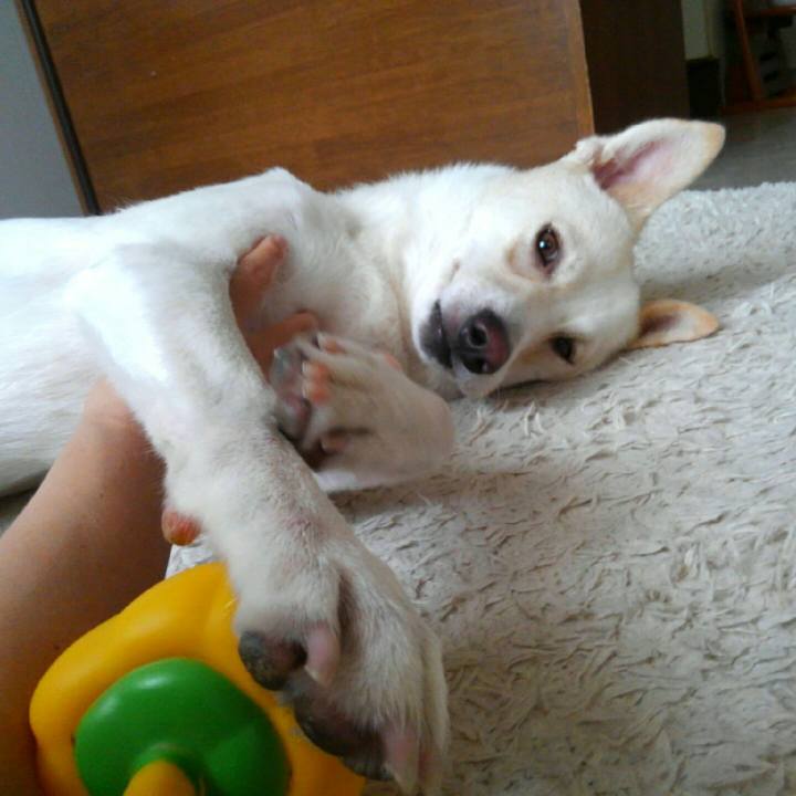 F3916736 d4dc 41ca be3b 395f242d39f6