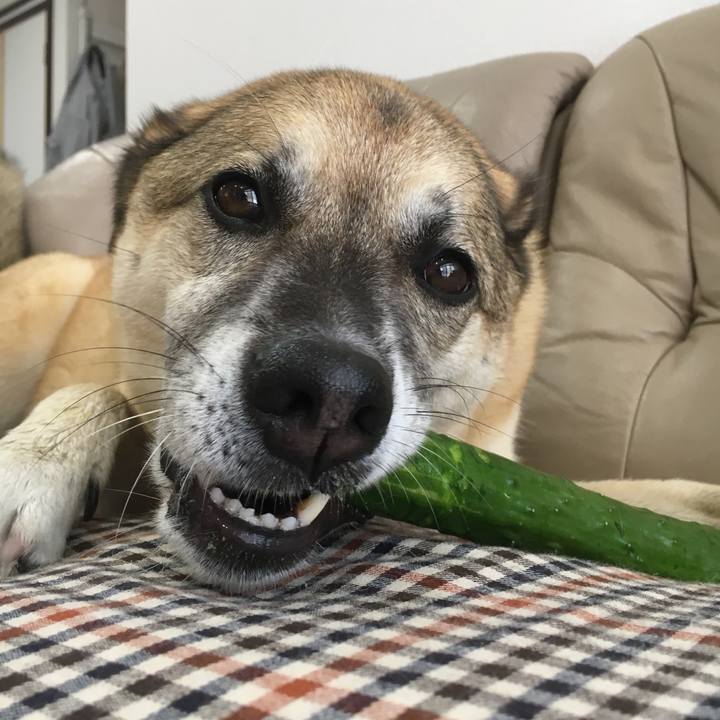 F391f345 d0b9 4c76 80b7 8146baafe139