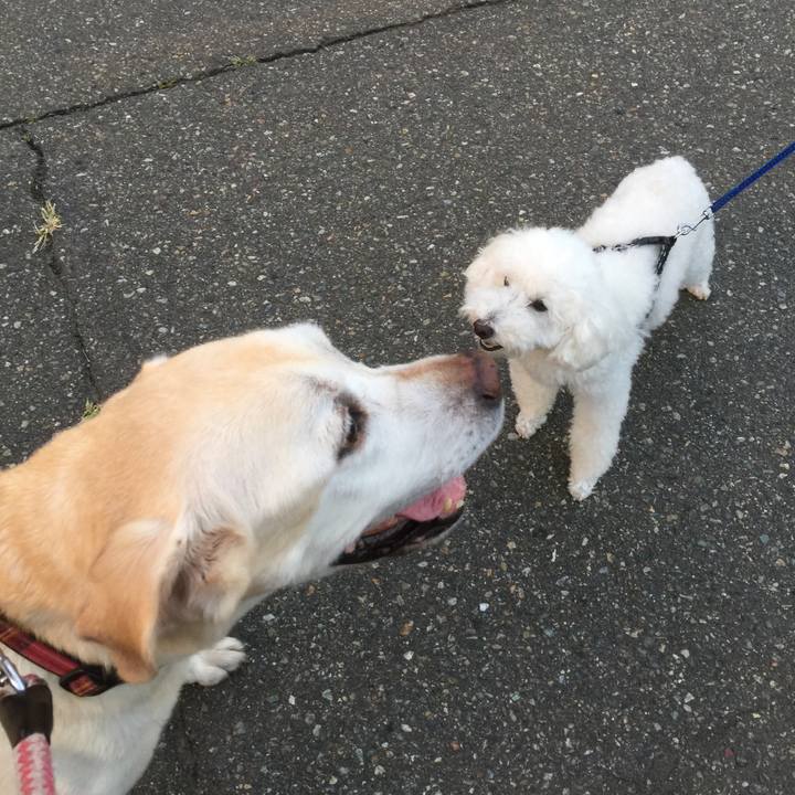 F3930654 85c3 4a0c b1ca be9fb7f09631