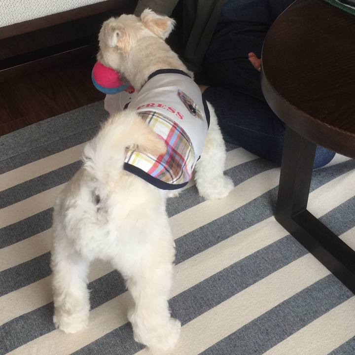 F393a1b1 30af 4712 b747 728b4f716d6c