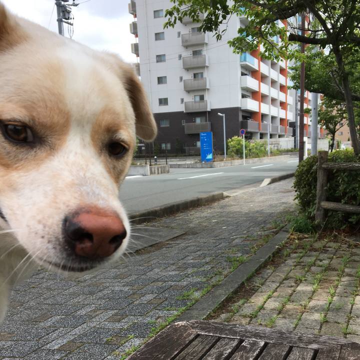 F394a77b 1c6f 4d13 8a3a 574610b18e60