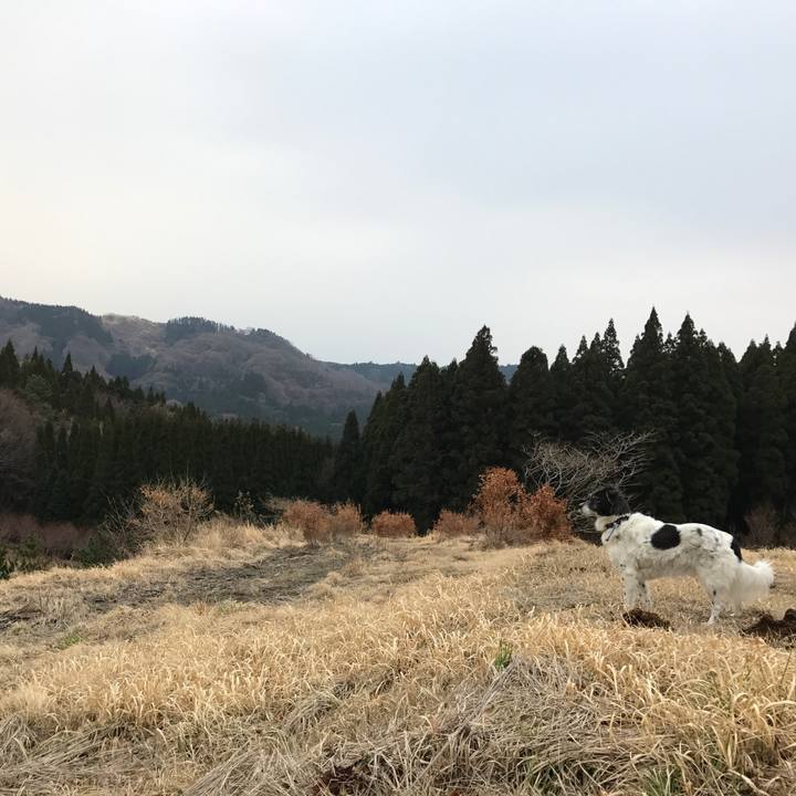 F394afcb 8a0b 467b 87c8 ac35b8480cad